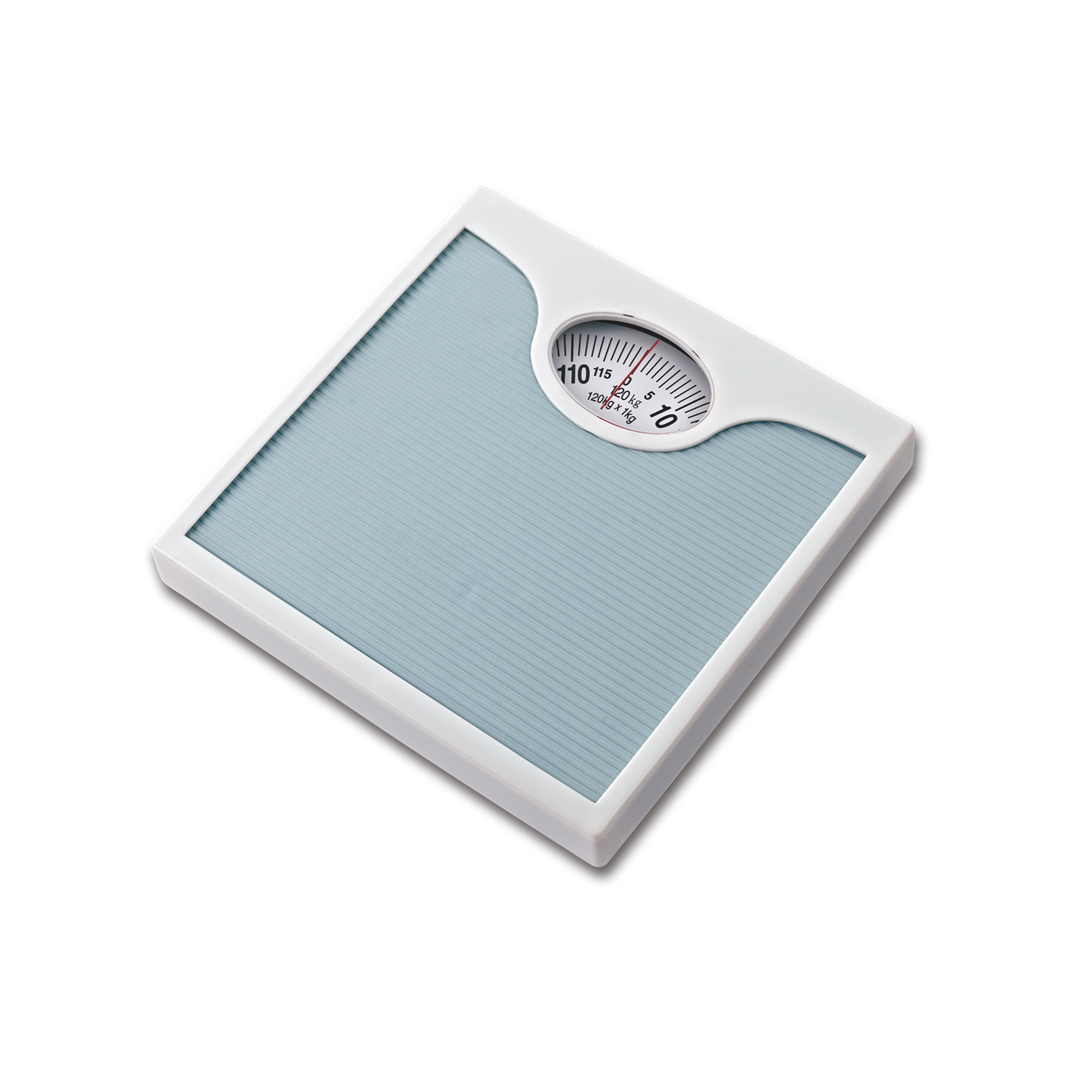 br9313a.png