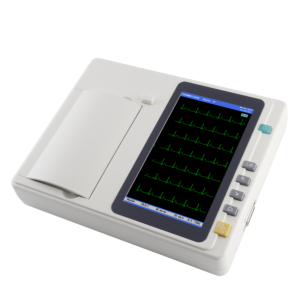 ecg601.png