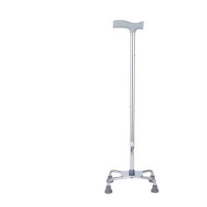 fourlegswalkingstick 002.png